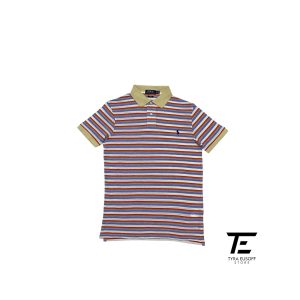 (M) Polo Ralph Lauren Striped Multicolour Collar Tee (TES421)