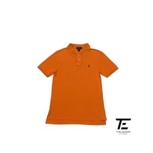 Polo Ralph Lauren Collar Tee (TES422)