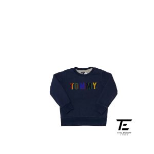 Kids Tommy Hilfiger Multicolor Embroidered Logo Sweatshirt
